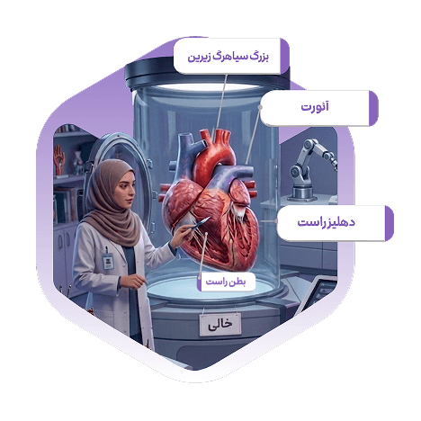 شبیه سازی سه بعدی آزمایشات